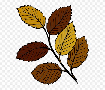 Dead, Fall, Drawing, Leaf, Tree, Branches, Cartoon - Leaves Clip Art