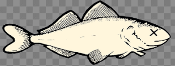 Dead Fish Png (94+ images in Collection) Page 1