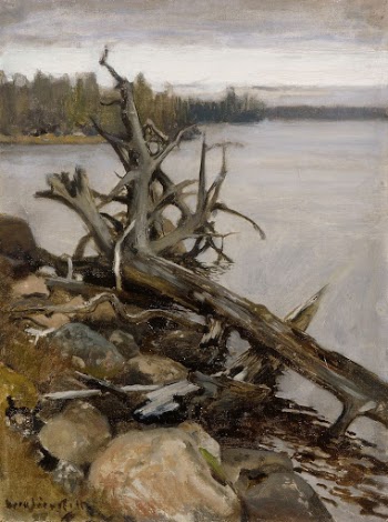 Dead pine in the water, | Free Photo - rawpixel