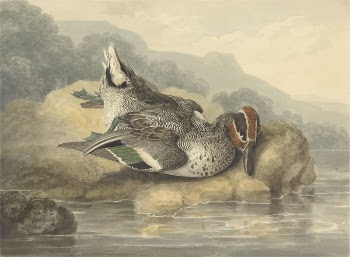 Dead Teal | Free Photo - rawpixel