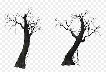 Dead Tree 01 By Free Stock By Wayne - Tree