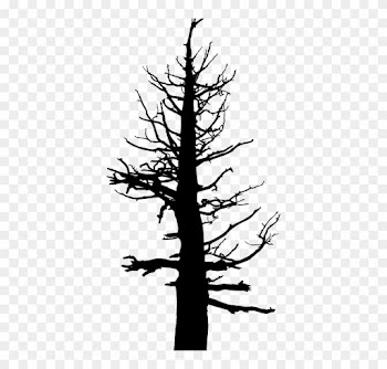 Dead Tree Cartoon 13, Buy Clip Art - Old Dead Pine Tree