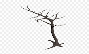Dead Tree Clipart 29, - Dead Tree Transparent Background