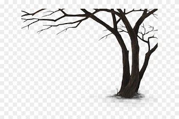 Dead Tree Hd Png
