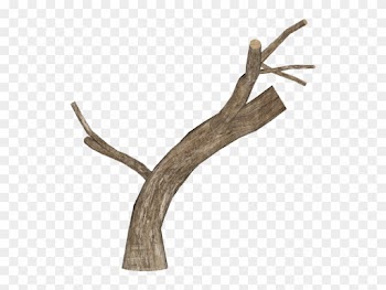 Dead Tree Log 5 - Zt2download Tree Pngs