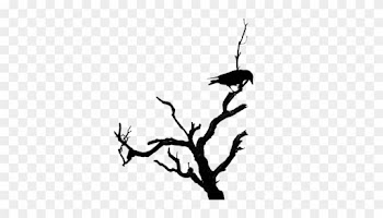 Dead Tree Psd - Dead Tree Branch Silhouette