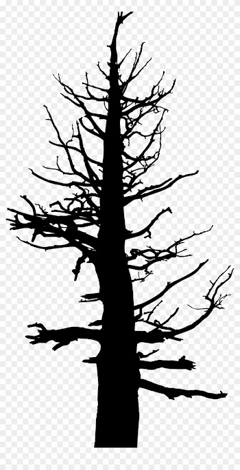 Dead Tree Trunk Clip Art Clipart Free Download - Old Dead Pine Tree