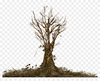 Dead Tree With Ivy Png Landscape Stock Warm By Annamae22 - Dead Trees Png
