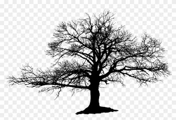 Dead Trees Black And White Drawings Download - Mountain And Tree Reflection Shower Curtain