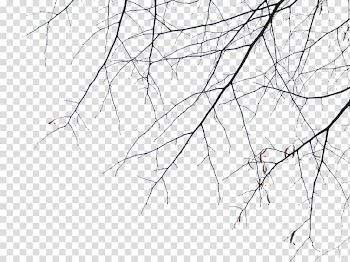 Deadwood transparent background PNG clipart