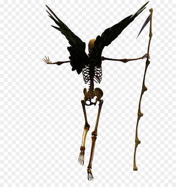 Death u9ab7u9ac5 Skeleton - Skull 