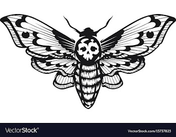  					Deaths head hawk moth vector&nbsp;image														
