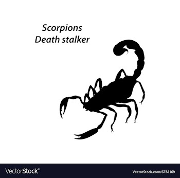 Deathstalker vector image