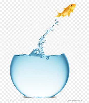 Debt consolidation Loan Business - Jumping fish 