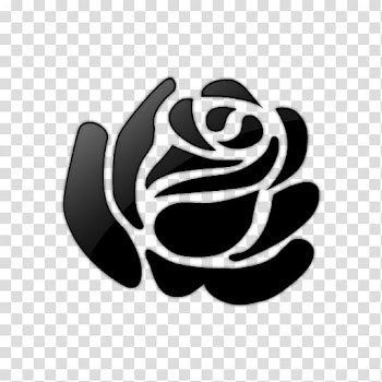 Decal Bumper sticker Rose Car, Rose transparent background PNG clipart