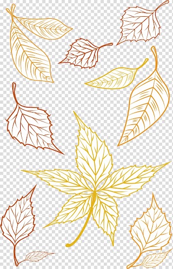 Deciduous Autumn , Hand painted autumn leaves transparent background PNG clipart