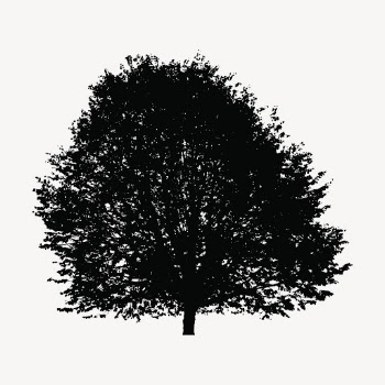 Deciduous tree silhouette clipart, nature | Free Vector - rawpixel