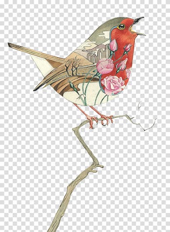 Deco Animals s, bird standing on branch transparent background PNG clipart