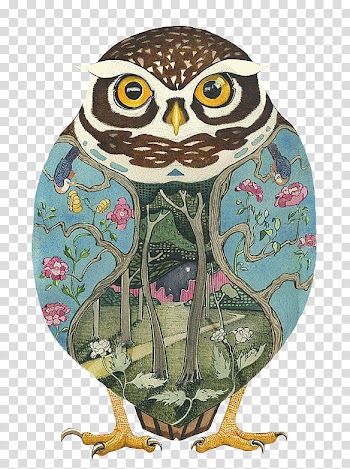 Deco Animals s, multicolored owl painting transparent background PNG clipart