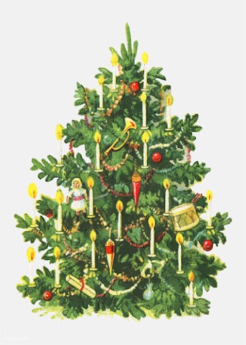 Decorated Christmas tree | Free stock vector - 556963