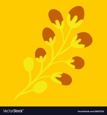 Decoration branches with flowers spring flower vector image