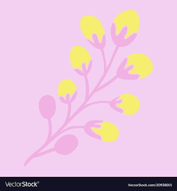 Decoration branches with flowers spring flower vector image