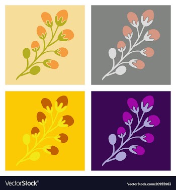Decoration branches with flowers spring flower vector image