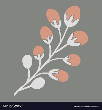 Decoration branches with flowers spring flower vector image