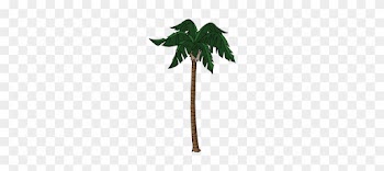 Decoration Palmtree Thumbnail@4x - Palm Trees