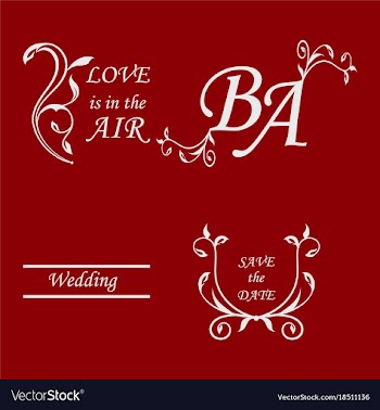 Decorative calligraphic elements floral dividers vector image