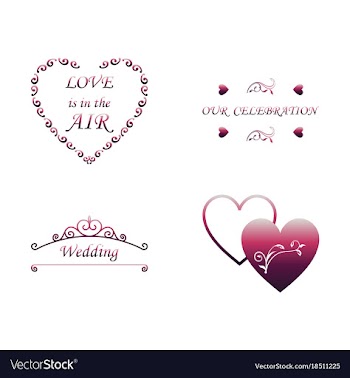Decorative calligraphic elements floral dividers vector image