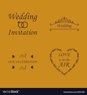 Decorative calligraphic elements floral dividers vector image