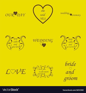 Decorative calligraphic elements floral dividers vector image