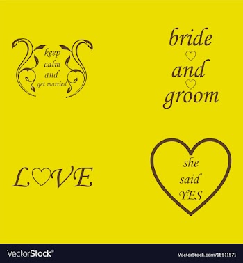 Decorative calligraphic elements floral dividers vector image
