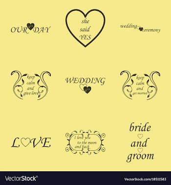 Decorative calligraphic elements floral dividers vector image