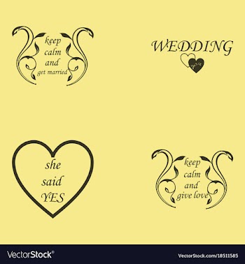 Decorative calligraphic elements floral dividers vector image