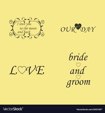 Decorative calligraphic elements floral dividers vector image