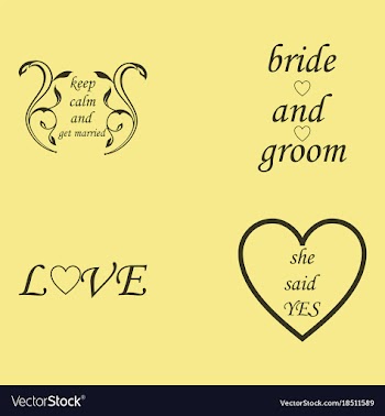 Decorative calligraphic elements floral dividers vector image