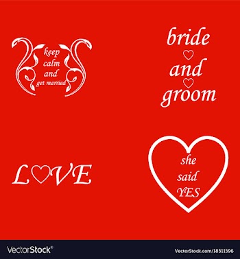 Decorative calligraphic elements floral dividers vector image