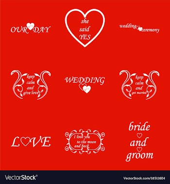 Decorative calligraphic elements floral dividers vector image