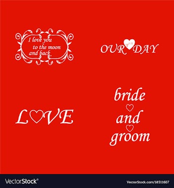 Decorative calligraphic elements floral dividers vector image