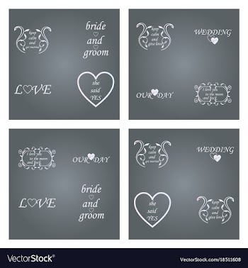 Decorative calligraphic elements floral dividers vector image