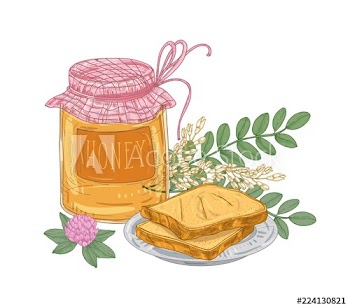 Decorative composition with jar of sweet honey, pair of toasts lying on plate, acacia branch and clover flower isolated on white background