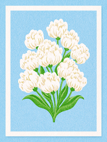Decorative Flat Botanical Illustration of White Tulips