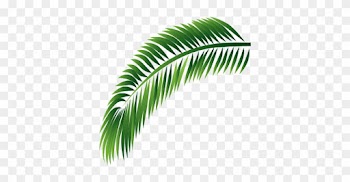 Decorative Leaf - Leaf