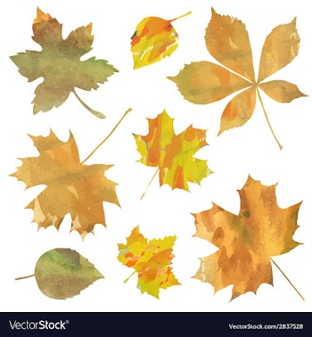  					Decorative leaves vector image														