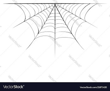Decorative spider web border vector image