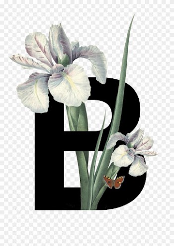 Decorative Type Design - Iris With Butterfly Shower Curtain