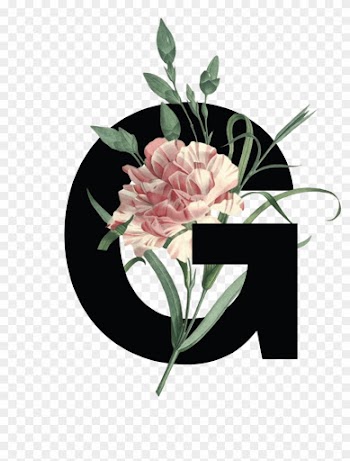 Decorative Type Design - Protea