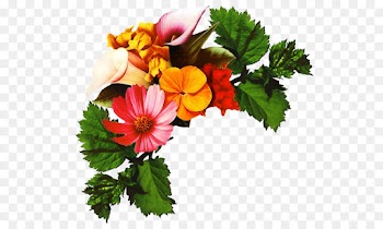 Decoupage, Painting, Floral Design, Flower, Flowering Plant PNG